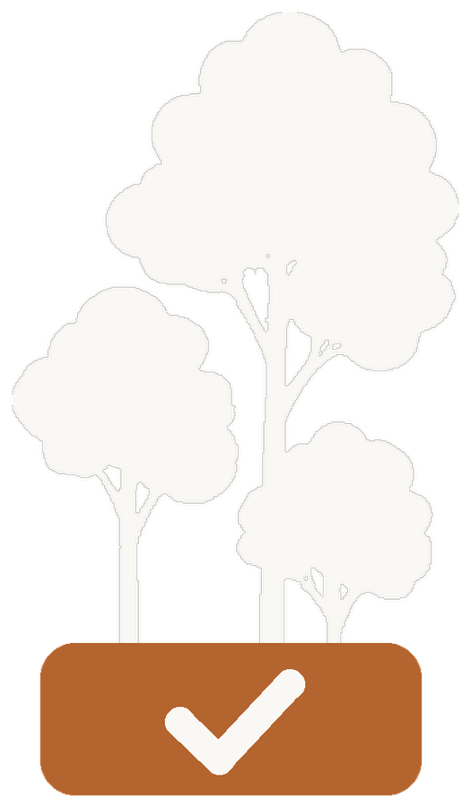 Ballotgrove, a grove of aspen trees growing from a ballot box